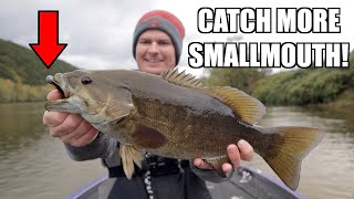 How to Fish the NED RIG for Smallmouth Bass [upl. by Tyson]