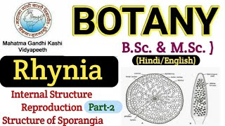 Rhynia TS of Areal Shoot RhyniaRhynia Sporangium Internal Morphology of RhyniaBSc 1st year [upl. by Audun]