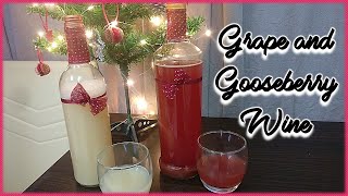 Wine after 21days  Homemade Wine  Gooseberry  Grapes  Without Yeast [upl. by Chaing]