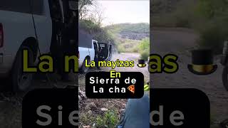 La mayizas están en sierra de la cha🍕 mayitoflaco mexico sinaloa lospshorts lpm [upl. by Sofie291]