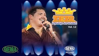 Zezo  Ao Vivo Vol 12  Dama De Vermelho Áudio Oficial [upl. by Natsirt]