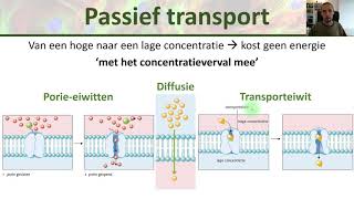 Membraantransport  actief passief endocytose en exocytose  Inleiding biologie 4 [upl. by Hershell]