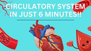 Circulatory System Breakdown  Diseases Episode 1 [upl. by Billie863]