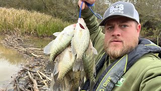 Ill Be DAM 🦫 Creek CRAPPIE Fishing With Jig amp Bobber‼️CRAPPIE Fishing 2024‼️ [upl. by Duyne]