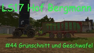 LS17  Hof Bergmann  44 Grünschnitt und Geschwafel [upl. by Rumilly339]