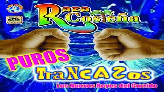 RAZA COSTEÑA CORRIDOS MIX [upl. by Urban516]