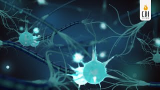 3D Animation Nerve Impulse Conduction [upl. by Nauht184]