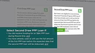 How to Apply for a PPP Loan Paycheck Protection Program Online Application [upl. by Ulland]