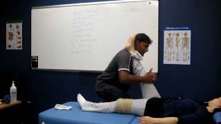 Manual passive Stretching Skeletal muscles [upl. by Lodovico]