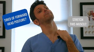 Sternocleidomastoid SCM Stretch To HELP ELIMINATE Forward Head Posture [upl. by Hubbard210]