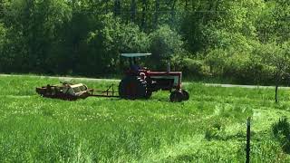 Farmall 656 Mowing Hay [upl. by Aillimac369]