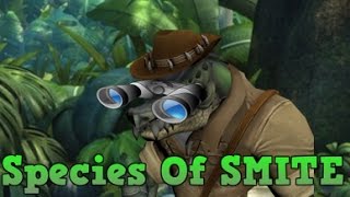 Species Of SMITE [upl. by Aldred]