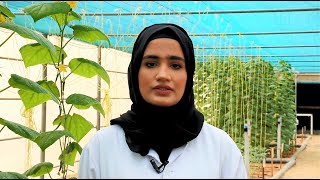 ICBA intern Hamda AlMasoum Zayed University Dubai UAE [upl. by Kingsly]