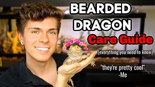 Bearded Dragon Care Guide EVERYTHING you need to know [upl. by Zeidman900]