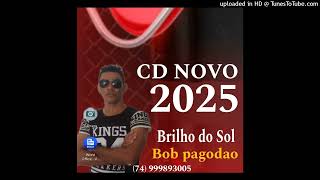 Brilho do sol 2024 [upl. by Eirellam474]