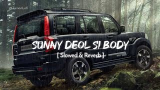 Sunny Deol Si Body Re  Slowed amp Reverb  Raju Punjabi  Choudhar Jaat Ki Latest Haryanvi Song [upl. by Walliw]