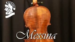 Stentor Violin Review A comparison of the Messina Conservatoire Student 2 and Student 1 [upl. by Ludovick]