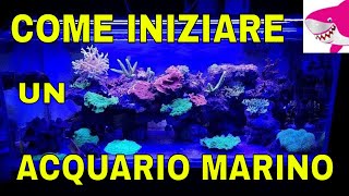 COME INIZIARE UN ACQUARIO MARINO 😀Alcuni consigli by Tropicalmania😀 [upl. by Aivad]