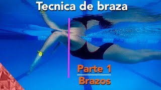 Tecnica de natacion de estilo pecho braza Parte 1 Brazos [upl. by Yul]