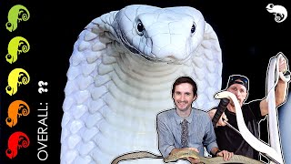 King Cobra The Best Pet Snake The Most DANGEROUS Day Of My Life [upl. by Hewett326]