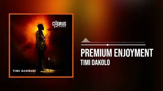 Timi Dakolo  Premium Enjoyment Official Audio [upl. by Hitt]