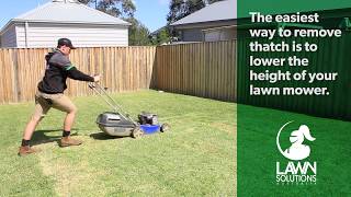 How to remove thatch from your lawn  Dethatching [upl. by Marnie547]