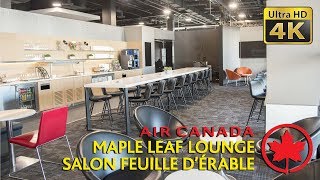 Air Canada Maple Leaf Lounge at Toronto YYZ Terminal 1 Transborder Departure [upl. by Mchugh480]