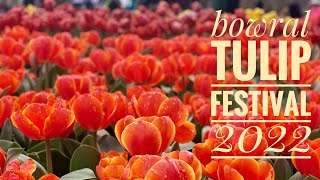 Bowral Tulip Festival 2022 [upl. by Ennairak442]