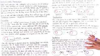 Conjugation Transformation and Transduction [upl. by Partridge]