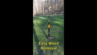 Satisfying and Easy Weed Removal using Fiskars stand up weeder shorts [upl. by Stoddard]