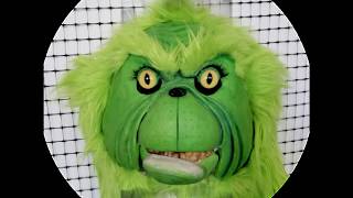 The Coolest Homemade Grinch Costume [upl. by Ahsiken]