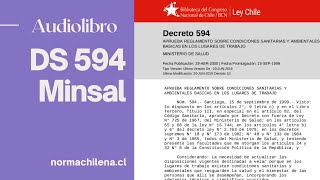 Audiolibro Decreto supremo 594 MINSAL [upl. by Eirol]