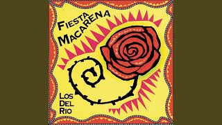 Macarena River ReMix [upl. by Grane]