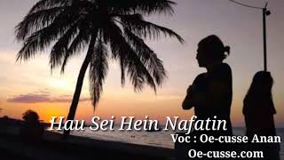 Lagu Timor Terbaru Galau 2019 HAU SEI HEIN NAFATIN O [upl. by Hurwitz]