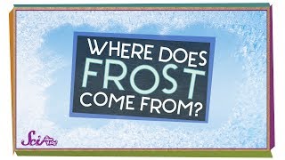 Where Does Frost Come From  Winter Science  SciShow Kids [upl. by Mahtal313]