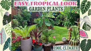 Easy Tropical Look Garden Plants  HardyEasy OverWintering 🌴🌺 [upl. by Nnylrats]