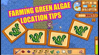 STARDEW VALLEY FARMING GREEN ALGAE TIPS [upl. by Acnaiv862]