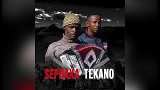 Sephaka Le Tekano  Mphatlalatsane  Lipapatlele [upl. by Nilek]