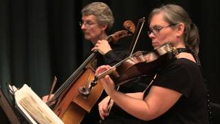 Ashokan Farewell  The Woodvale String Quartet [upl. by Llerrehs]