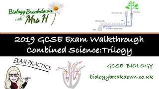 GCSE Combined Science  Trilogy  Biology Paper 1 [upl. by Aelaza]