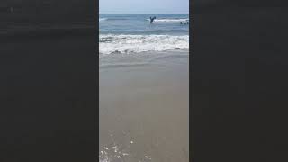 At the wildwood beach in new jersey maryefuchs summervibes wildwoodnj oceanlife vlogs [upl. by Larianna]