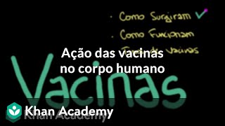 Ação das vacinas no corpo humano [upl. by Marni]