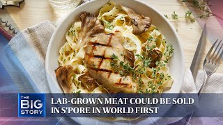 Cellcultured meat could be sold in Spore in world first  THE BIG STORY [upl. by Besse34]