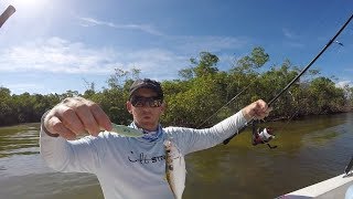 How To Catch Threadfin Using A Sabiki Rig [upl. by Taveda]