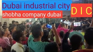 shobha company dubai industrial city dic dubailife dubaimall [upl. by Brand]