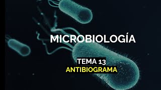 Antibiograma  Tema 13  Microbacter [upl. by Anihpled301]