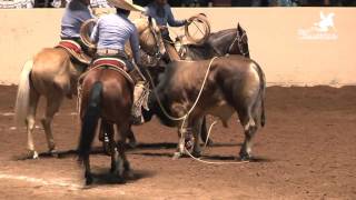 Las mejores 5 Ternas – Nacional Charro Querétaro 2015 [upl. by Gayelord608]