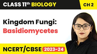 Kingdom Fungi Class  Basidiomycetes  Mushrooms  Class 11 Biology Chapter 2  NCERTCBSE [upl. by Ecnav]