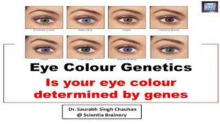 Human Eye color genetics Do genes determine our eye color Why do eyes have color [upl. by Mateo]