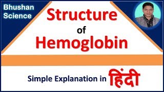 Structure of Hemoglobin Simple Explanation in Hindi  Bhushan Science [upl. by Nivar560]